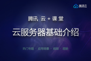 video image