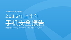 2016上半年安全报告